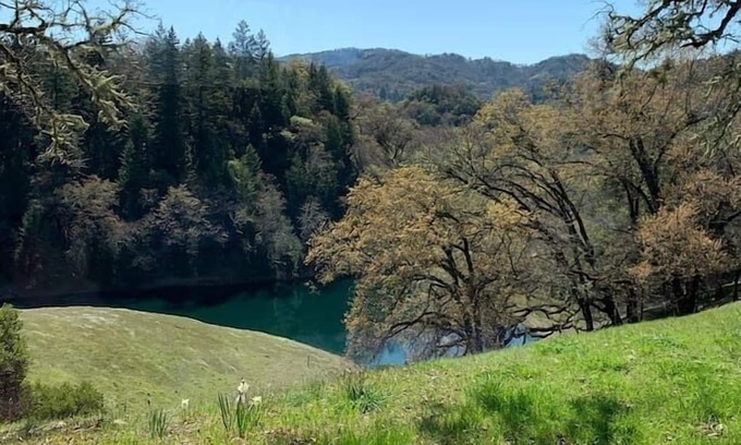 Ukiah Cabaña | VIEWS!! Last Minute/Longer Stay SPECIALS!