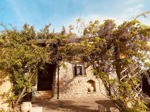 Marina San Gregorio Casa | VIGNA VECCHIA