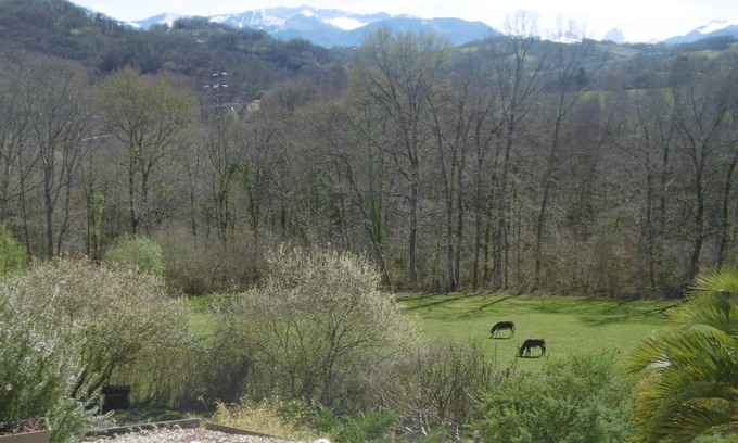 Gan Casa | VIGNES ET MONTAGNE !