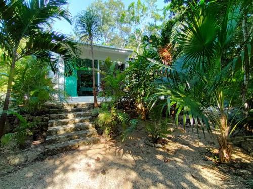 Centro de la ciudad de Tulum Casa | Viila Ixchel jungle pool