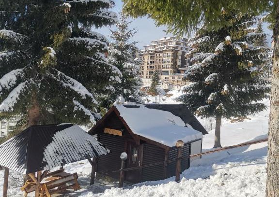 Kopaonik Chalet De Esquí | Vikendica Čeperković #2