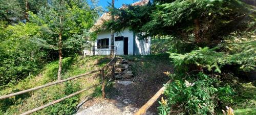 Zlatibor Casa | Vikendica Park Tornik