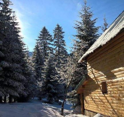 Jahorina Casa | Vikendica Teodora