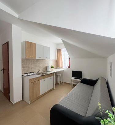 Brzece Apartamento | Vila Aurora Gondola Kopaonik, 50m od Gondole Brzece
