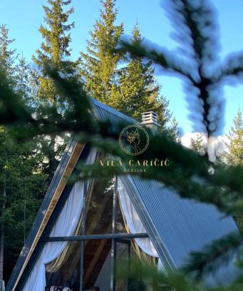 Zabljak Villa | Vila Caričić Žabljak