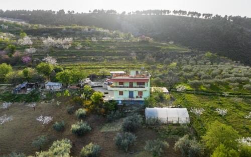 Berat Apartamento | Vila Dean