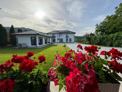 Sovata Cama Y Desayuno | Vila Diamond Lux&Spa