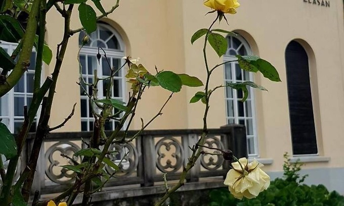 Bled Villa | Vila Elasan es una villa familiar única en el lado tranquilo del lago Bled