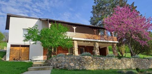 Sremski Karlovci Villa | Vila Felicita