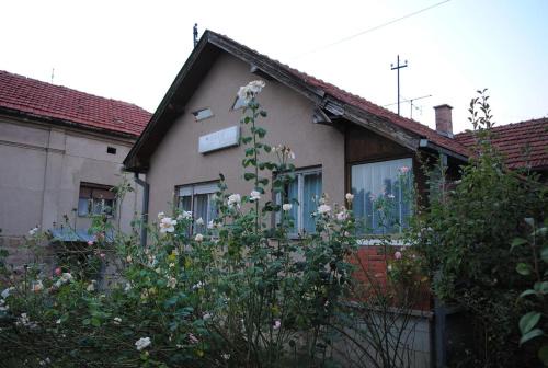 Stara Planina Apartamento | Vila Happy Story