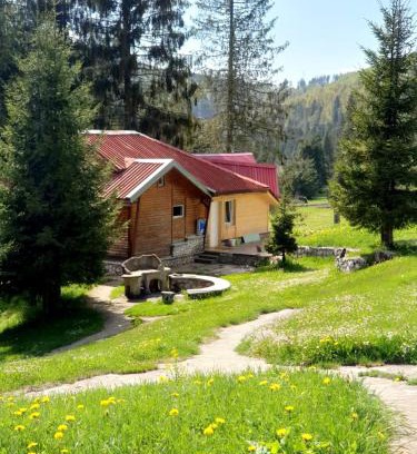 Budureasa Cabina | Vila IZVORUL MINUNILOR