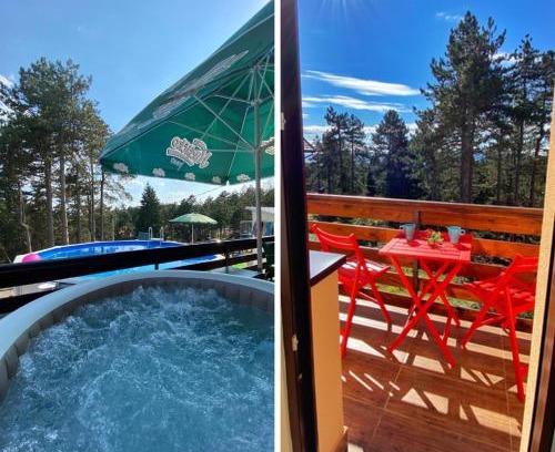 Kremna Apartamento | Vila Mirjana Tara
