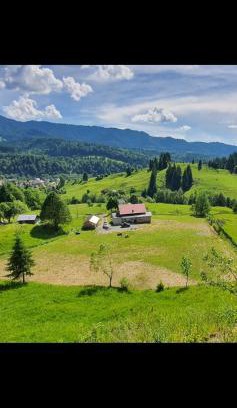 Bistrita Bargaului Villa | Vila Muntelui Colibita