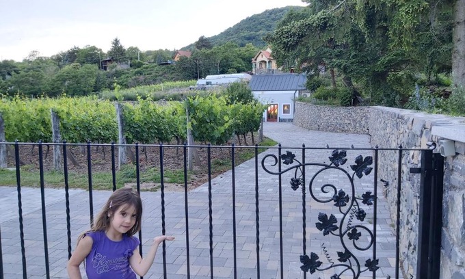 Badacsonytomaj Apartamento | Villő Villa