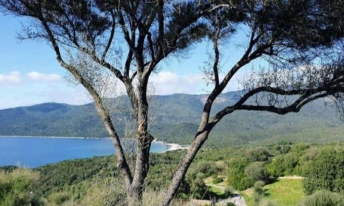 Serra-di-Ferro Villa | Villa 4 to5 pers T2 climatisée dans résidence vue mer *** piscine chauffée.