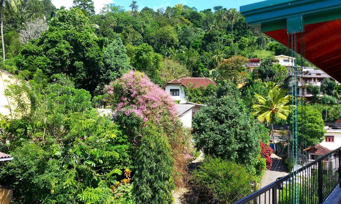 Kandy Hotel | Villa 49