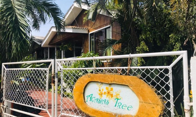 San Andres Casa | Villa acacias tree