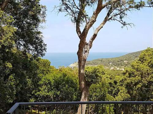 Procchio Apartamento | Villa ai Pini - ArgonautiVacanze