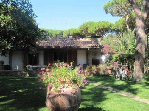 Castiglione della Pescaia Apartamento | Villa Ancora