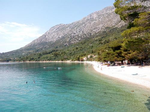 Zivogosce Apartamento | VILLA ANA ŽIVOGOŠĆE