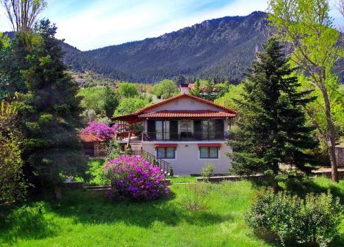 Vlacherna Villa | Villa Arcadia
