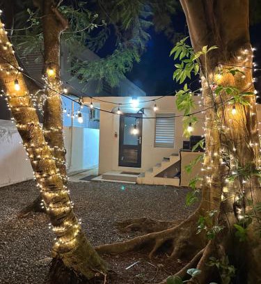 Santurce Casa | Villa Bamboo 2