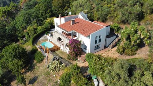 Massarosa Villa | Villa Bianca Luxury & Prestige
