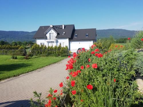 Stara Łomnica Casa | Villa Borówka