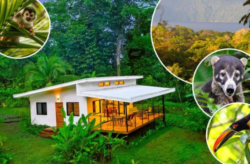 Puerto Jiménez Villa | Villa Bruno - Jungle Lodge Near Corcovado & Puerto Jiménez