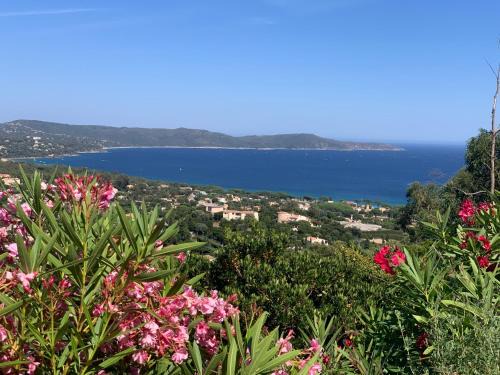 Cavalaire-sur-Mer Cama Y Desayuno | Villa Cacharelle Vue Mer Piscine
