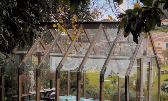 Camacha Hotel | Villa Camelia Boutique House