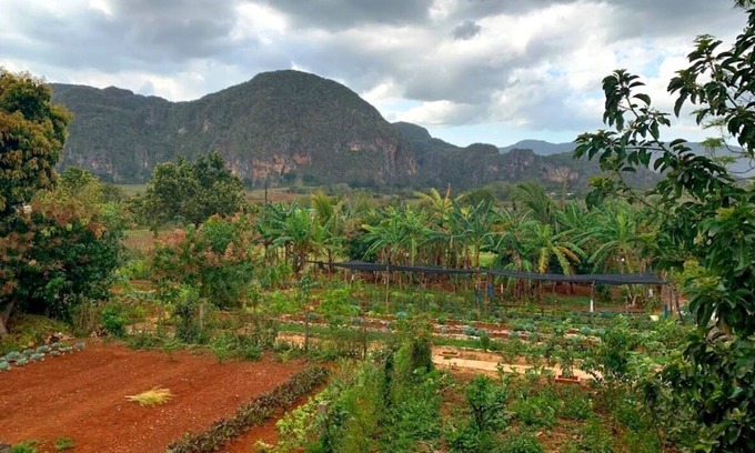 Vinales Cama Y Desayuno | Villa Coco Solo