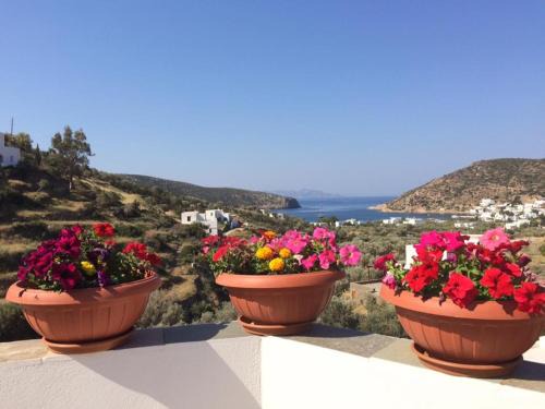 Vathi Apartamento | Villa Costa Studios