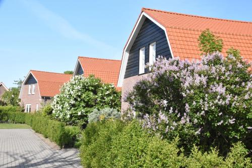 Oostkapelle Apartamento | Villa Dunopark 2 personen