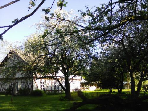Gutzkow Apartamento | Villa Eden Peene