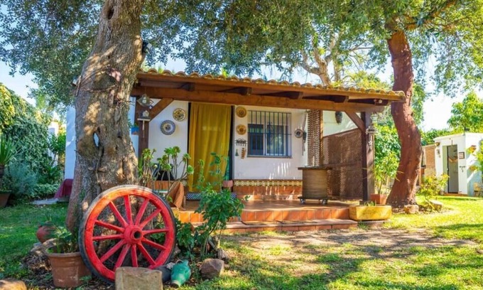 Parque Natural Breña y Marismas de Barbate Villa | Villa El Acebuche: Vivienda Rural Completa a Minutos de la Playa