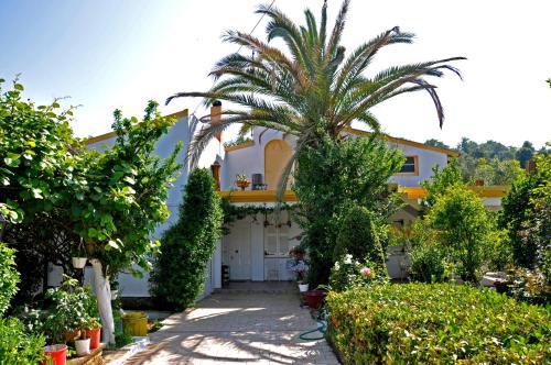 Dassia Apartamento | Villa Elena Studios
