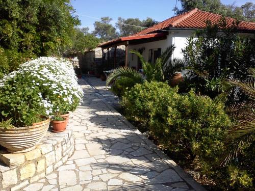 Magazia Casa | Villa Elvira