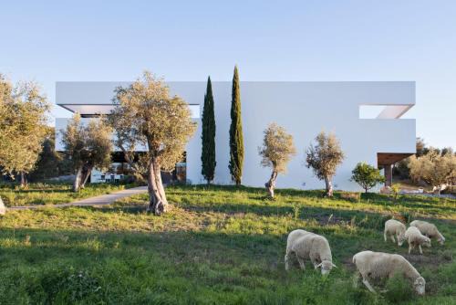 Arraiolos Casa | Villa Extramuros