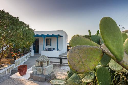 Apollonia Casa | Villa Frakosykia
