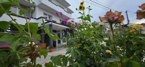 Gjerana Casa | Villa Grafenberg Ulcinj