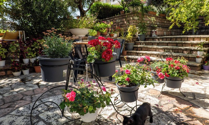 Qafe e Gjashtes Casa | Villa Green Garden