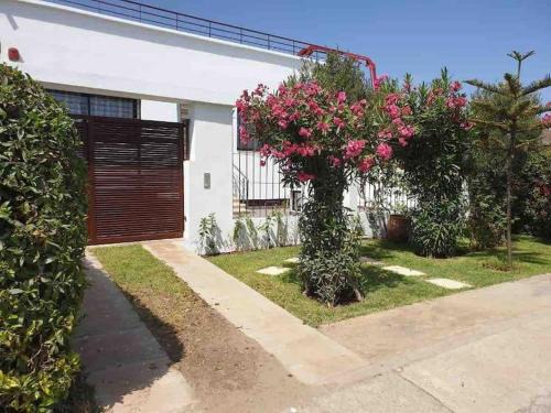 Casablanca Villa | Villa Havre De Paix à Casablanca