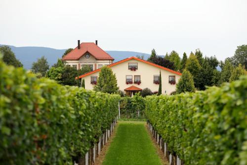 Landau in der Pfalz Casa | Villa Hochdörffer Gästehaus