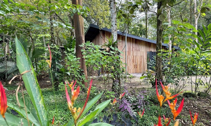 Los Ángeles Casa | Villa Iguana para Descansar Bajo los Árboles