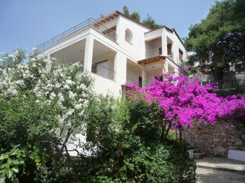 Votsi Villa | Villa Iguana Votsi
