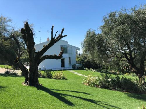 Borgo Trento Apartamento | Villa Il Bacio del Sole