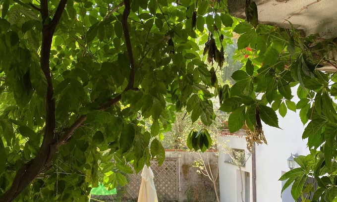 Palinuro Villa | Villa inmersa en la vegetación del parque nacional Cilento en Palinuro