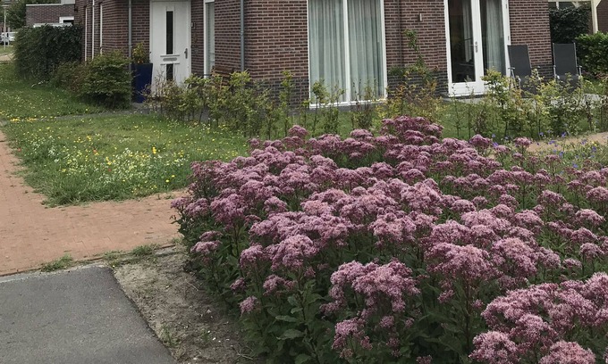 Noordwijkerhout Casa | Villa in Noordwijkerhout (municipality of Noordwijk), near the sea and city centers