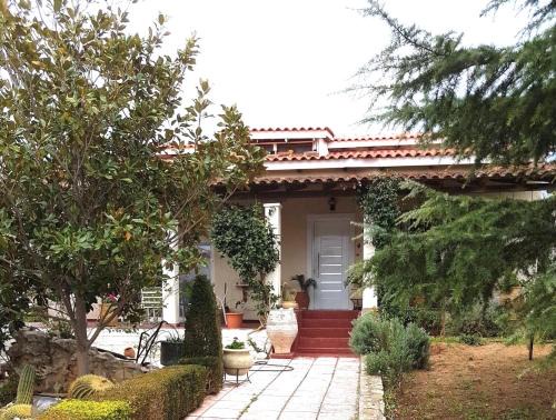 Agios Adrianos Casa | Villa Ioanna